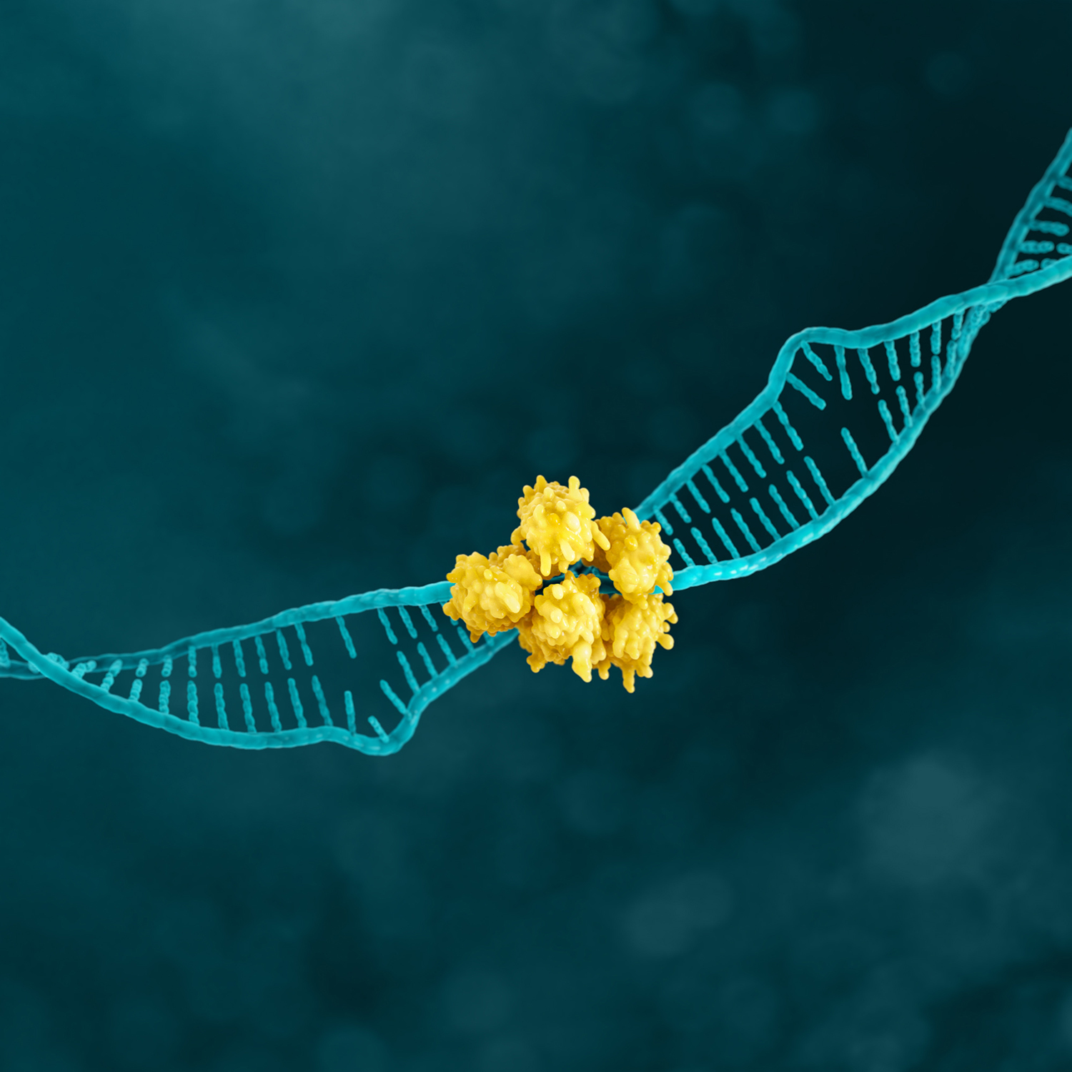 HER2 gastric cancer biomarker
